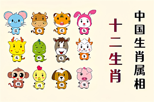 未命名图片 (16).jpg