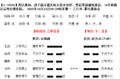 <b>旅游遇肺炎,两份诊断,听医生的还是听六爻的?乾坤网算命一条街</b>