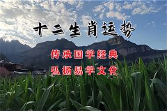 2025年11月1日需要注意的属相有哪些？真人在线算命一条街 