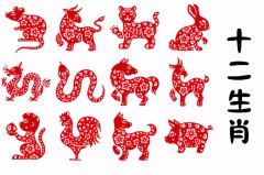 郑博士：11月1日生肖运势、今明吉凶播报(一对一算命一条街)  