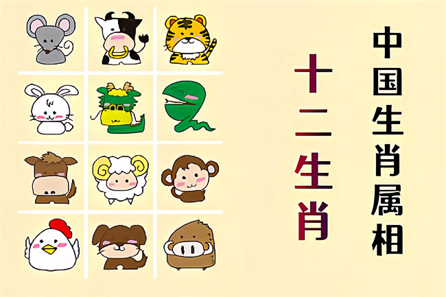 未命名图片 (6).jpg