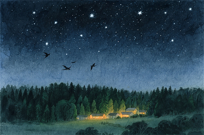 1762007990185176.jpg 微信图片_20250704121926.jpg