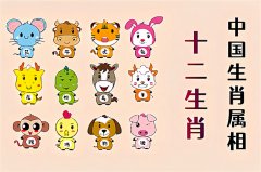 郑博士：11月2日生肖运势、今明吉凶播报(一对一算命一条街)  