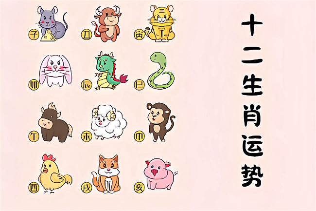 未命名图片 (40).jpg