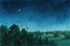 天秤座明日星座运势：2025年11月4日（真人算命蕞准一条街）