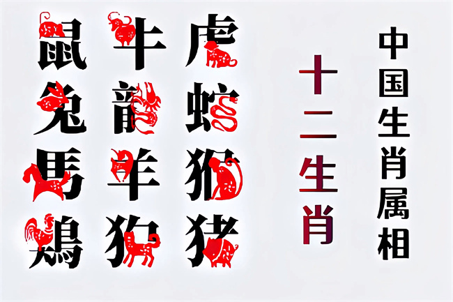 1762228563220262.jpg 未命名图片 (10).jpg