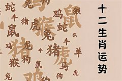 2025年11月6日需要注意的属相有哪些？真人在线算命准的网站