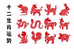 郑博士：11月6日生肖运势、今明吉凶播报(一对一算命一条街)  