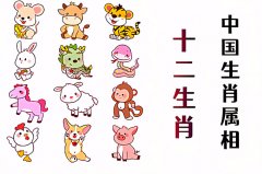 2025年11月7日今日十二生肖运势