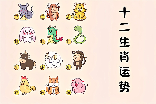 未命名图片 (41).jpg