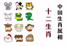 郑博士：11月7日生肖运势、今明吉凶播报(一对一算命一条街)  