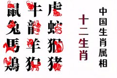 2025年11月8日今日十二生肖运势