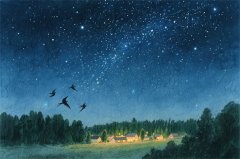 爱莎公主今日星座运势：2025年11月7日（算卦街算命一条街）   