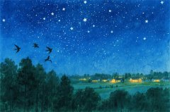 射手座明日星座运势：2025年11月11日（真人算命蕞准一条街）