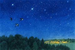 摩羯座明日星座运势：2025年11月11日（真人算命蕞准一条街）