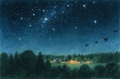 水瓶座明日星座运势：2025年11月11日（真人算命蕞准一条街）