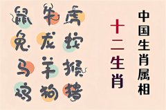 郑博士：11月22日生肖运势、今明吉凶播报(一对一算命一条街)  
