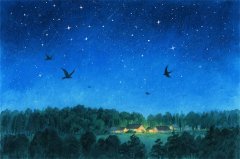 2025年11月24日今日十二星座运势