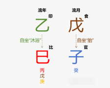 2025年12月·戊子月运势（丙火篇）乾坤网算命一条街