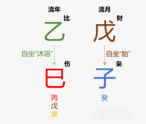 2025年12月·戊子月运势（乙木篇）乾坤网算命一条街