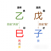 2025年12月·戊子月运势（己土篇）乾坤网算命一条街
