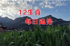 郑博士：12月2日生肖运势、今明吉凶播报(一对一算命一条街)  