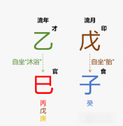 2025年12月·戊子月运势（辛金篇）乾坤网算命一条街