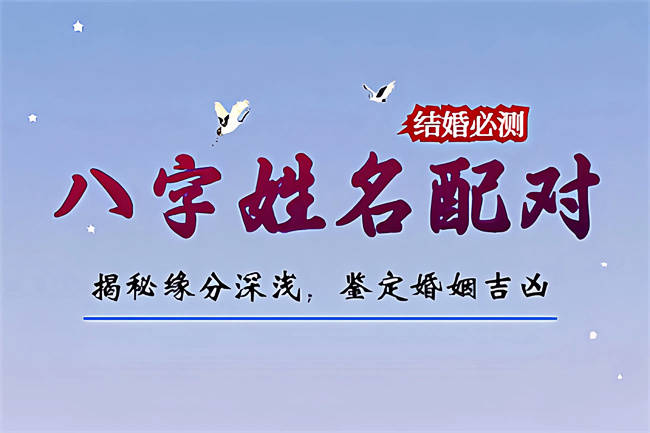 1765773754547387.jpg 未命名图片 (6).jpg