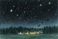 星座女神每日星座运势：2025年12月22日（真人算命一条街）