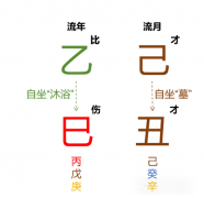 己丑月运｜乙木己丑月运势（乾坤网算命一条街）