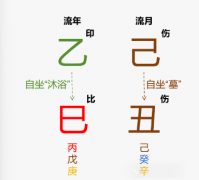 己丑月运｜丙火己丑月运势（乾坤网算命一条街）