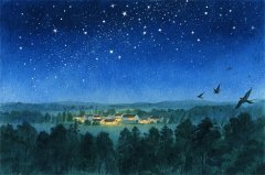 水瓶座今日星座运势：2025年12月29日（真人算命蕞准一条街）