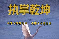<b>身强未必能担财，八字求财要看“全局配合”乾坤网算命一条街</b>
