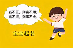 2022壬寅年腊月二十一出生的缺土男宝宝精选名字