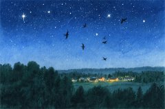 星座女神每日星座运势：2026年2月11日（真人算命一条街）