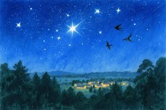 2026年2月20日今日十二星座运势 