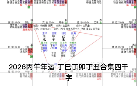 2026丙午年运 丁巳丁卯丁丑合集四千字(乾坤网算命一条街)