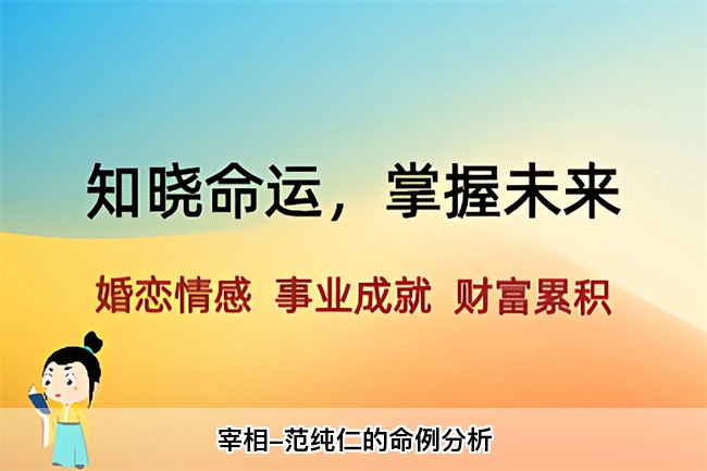 宰相-范纯仁的命例分析（乾坤网算命一条街）