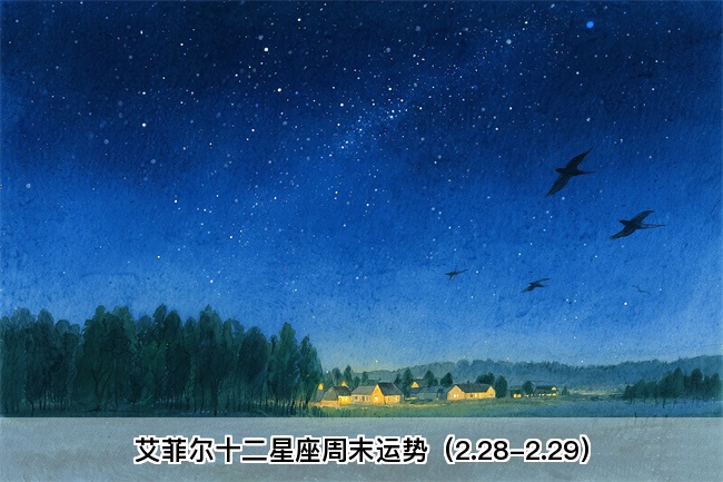 艾菲尔十二星座周末运势（2.28-2.29）真