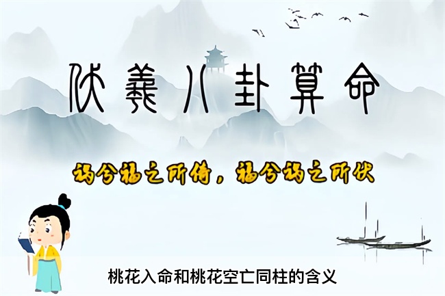 桃花入命和桃花空亡同柱的含义（算卦