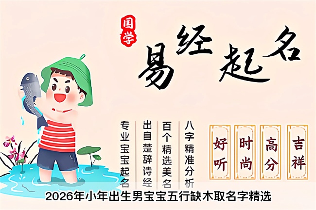 2026年小年出生男宝宝五行缺木取名字精选
