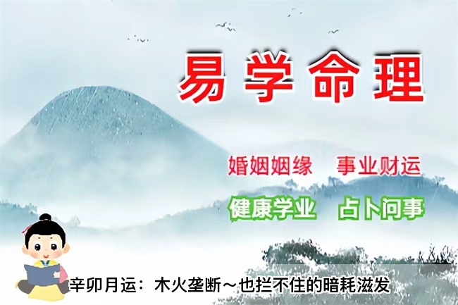 辛卯月运：木火垄断～也拦不住的暗耗滋发（乾坤网算命一条街）