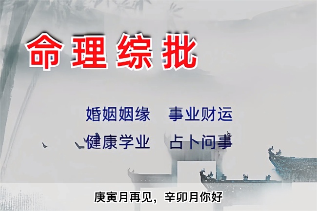 庚寅月再见，辛卯月你好（乾坤网算命