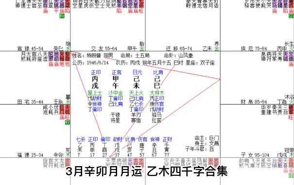 3月辛卯月月运 乙木四千字合集（乾坤网算命一条街）