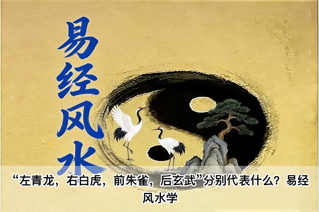 “左青龙，右白虎，前朱雀，后玄武”分别代表什么？易经风水学