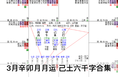 3月辛卯月月运 己土六千字合集（乾坤网算命一条街）