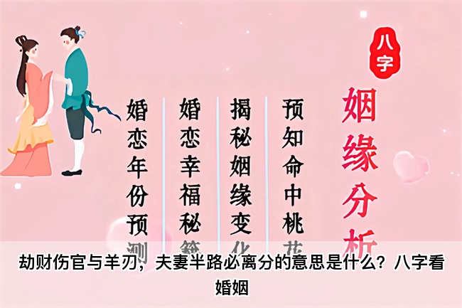 未命名图片 (42).jpg