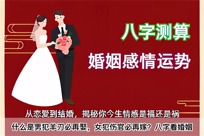 1773533346137591.jpg 未命名图片 (25).jpg