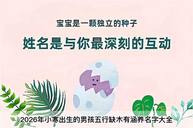 2026年小寒出生的男孩五行缺木有涵养名字大全