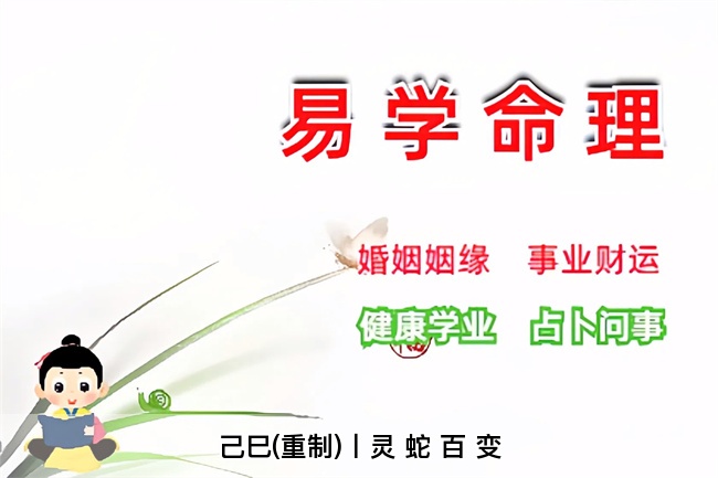 己巳(重制)丨灵 蛇 百 变（乾坤网算命一条街）